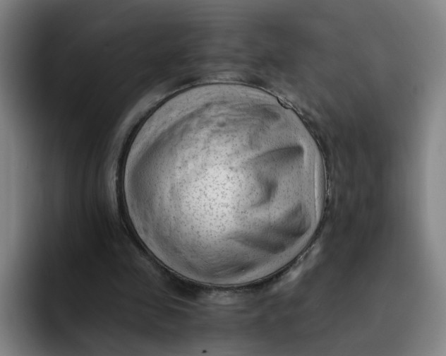 X0000091900341200709261701