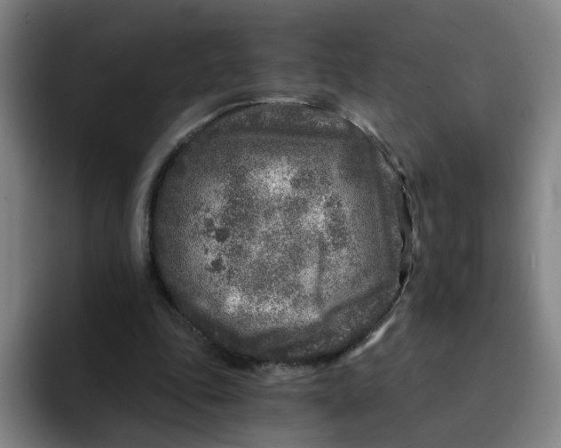 X0000091900343200709261702