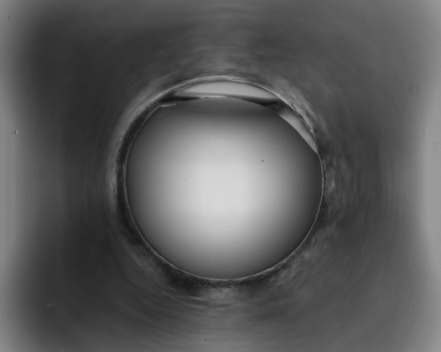 X0000091900344200709261702