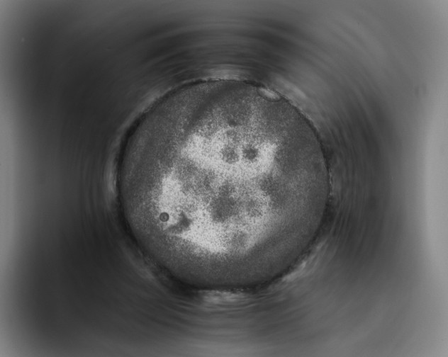 X0000091900347200709261702