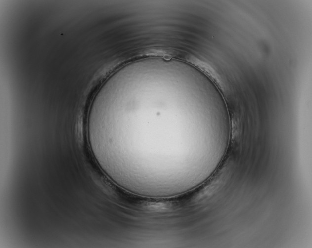 X0000091900349200709261702