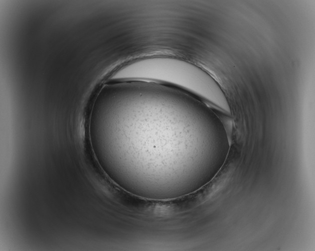 X0000091900350200709261702