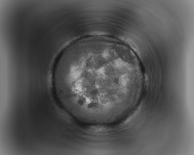 X0000091900351200709261702