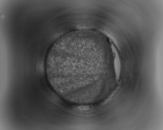 X0000091900353200709261702