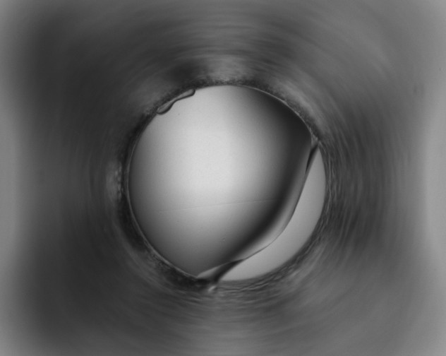 X0000091900356200709261702