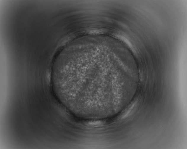 X0000091900357200709261702