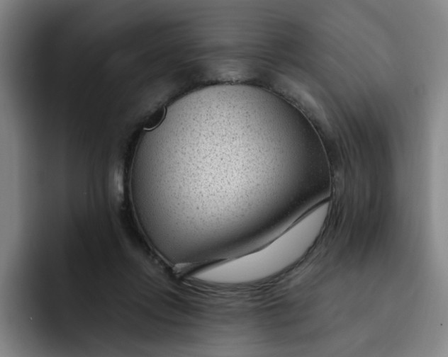 X0000091900358200709261702