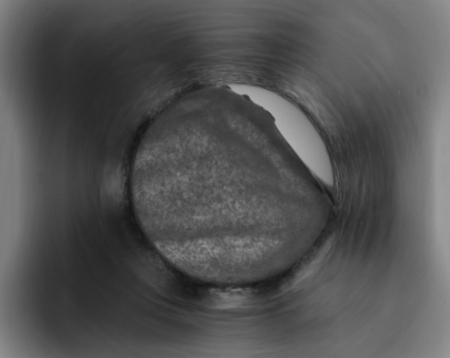 X0000091900359200709261702