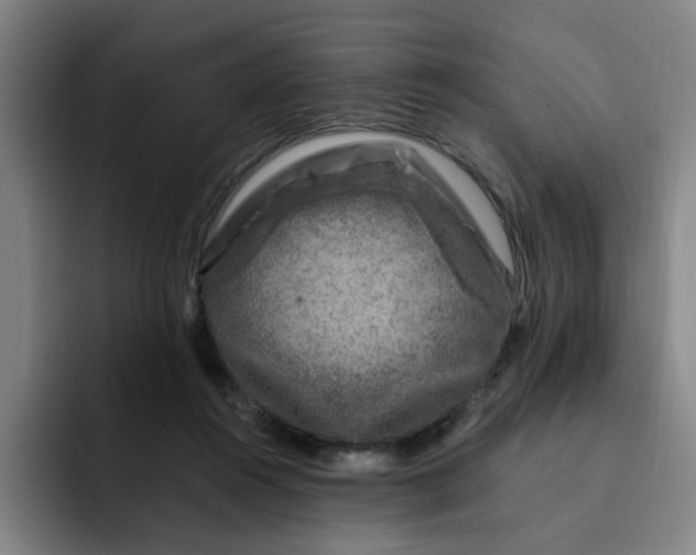 X0000091900360200709261702