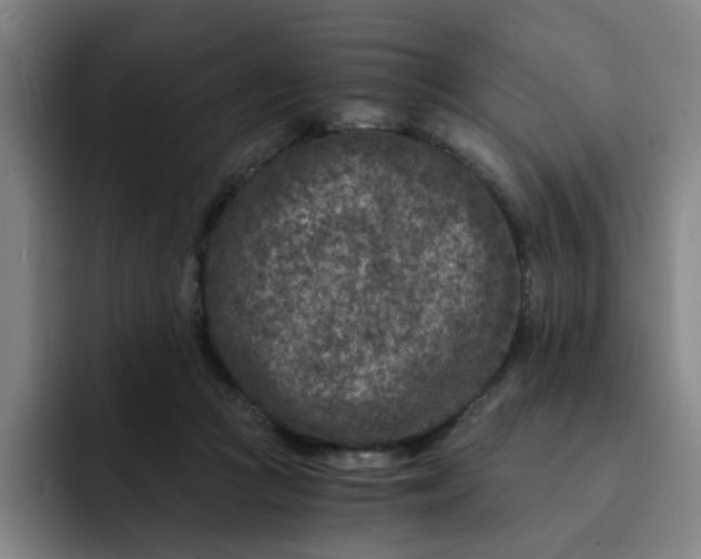 X0000091900361200709261702