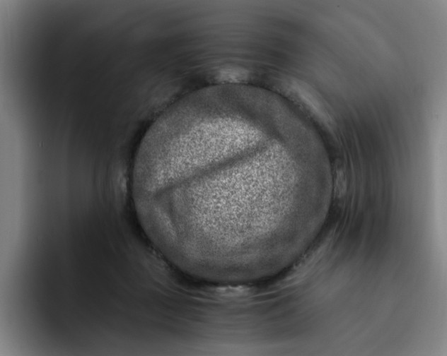 X0000091900363200709261702