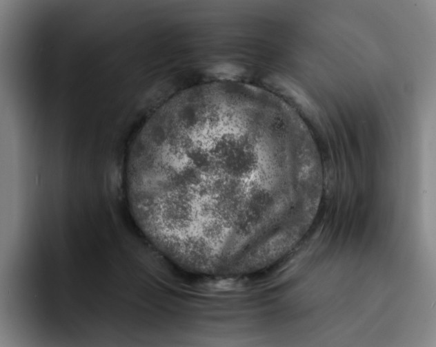 X0000091900365200709261702