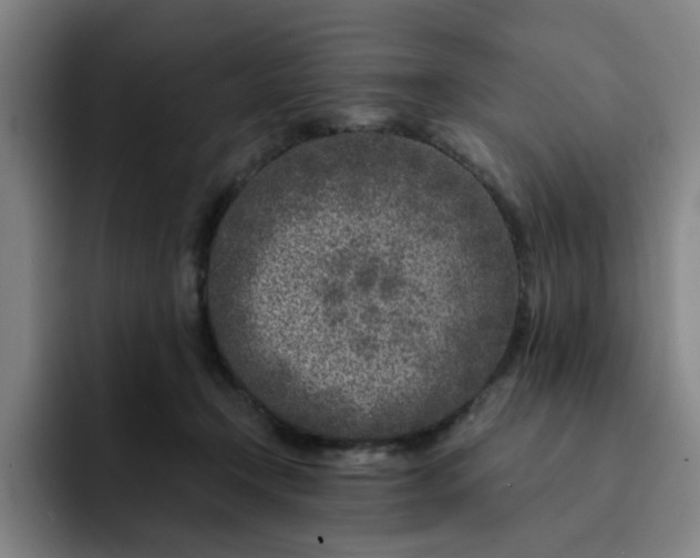 X0000091900366200709261702