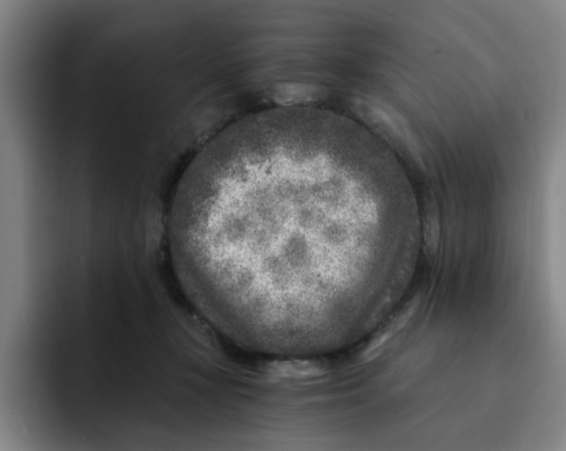 X0000091900367200709261702