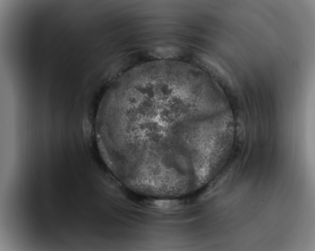 X0000091900371200709261702