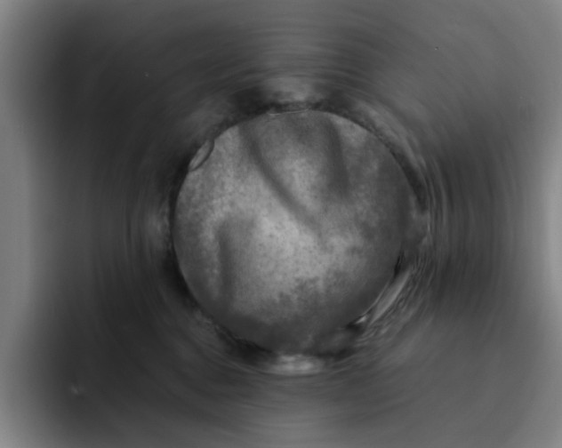 X0000091900376200709261702