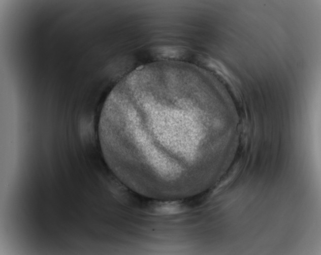 X0000091900377200709261702