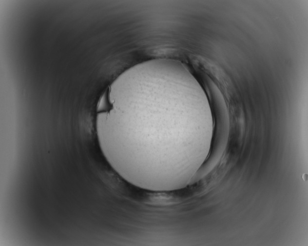 X0000091900380200709261702