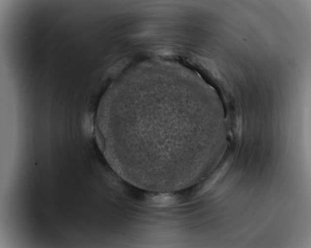 X0000091900383200709261702