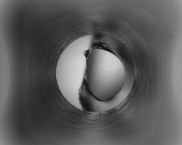 X0000091900384200709261702