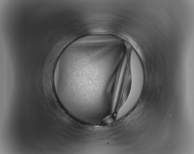 X0000091900385200709261701