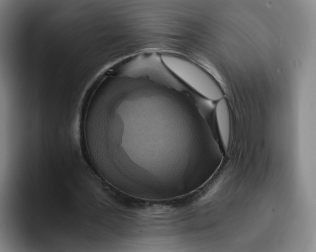 X0000091900387200709261701