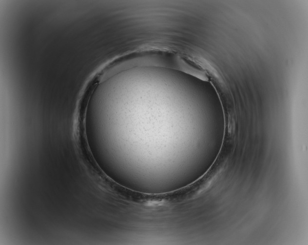 X0000091900388200709261701