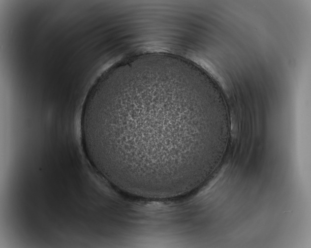 X0000091900390200709261701