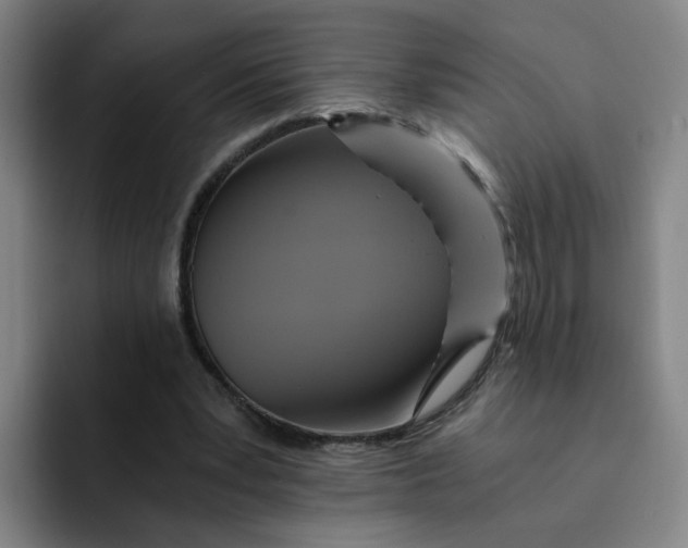 X0000091900391200709261701