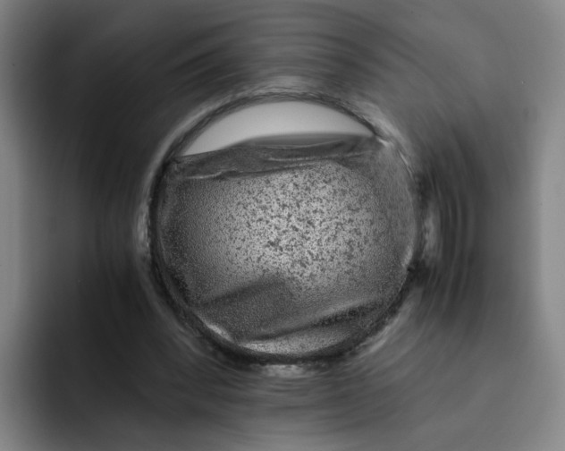 X0000091900392200709261701