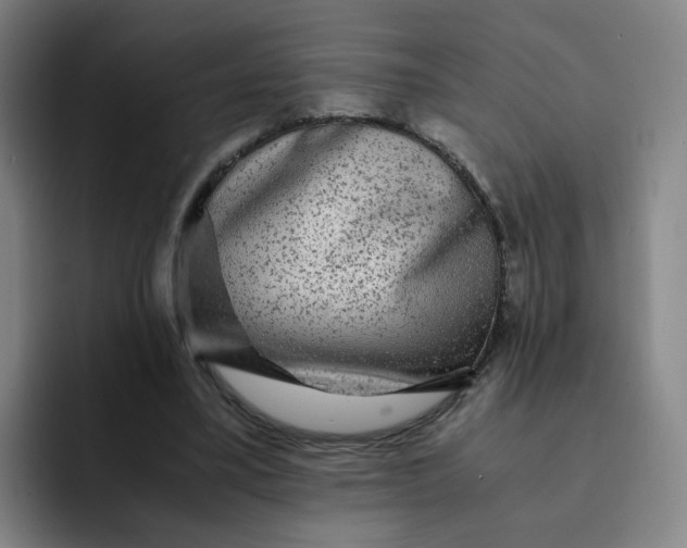 X0000091900395200709261701