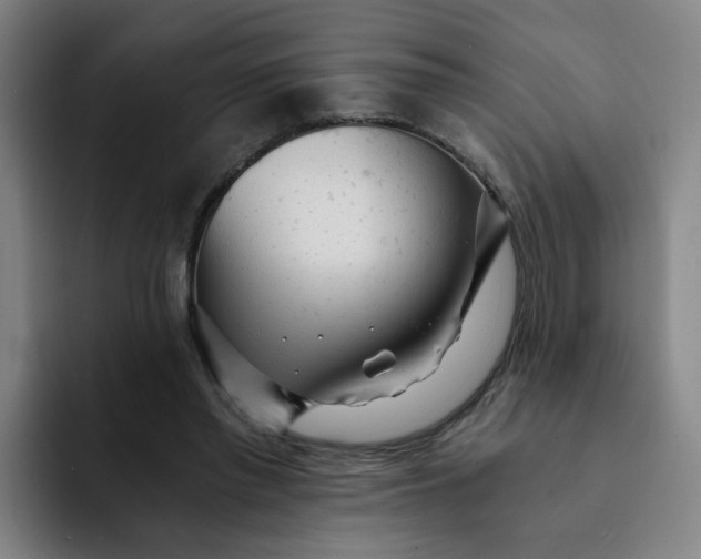 X0000091900397200709261701