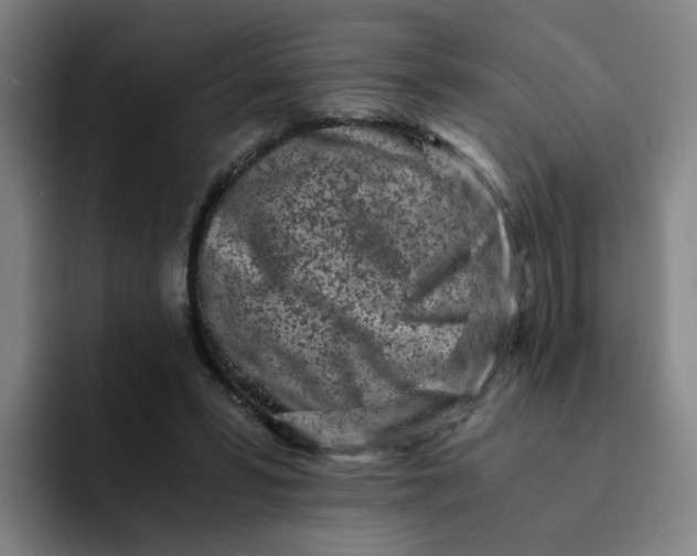 X0000091900399200709261701