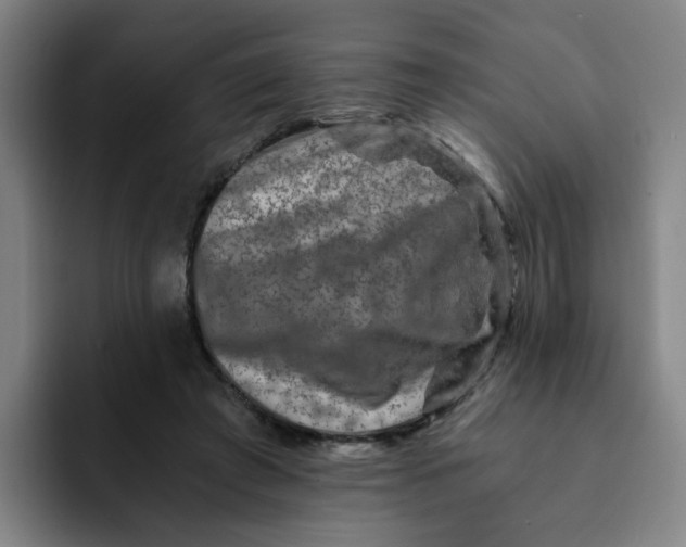 X0000091900401200709261701