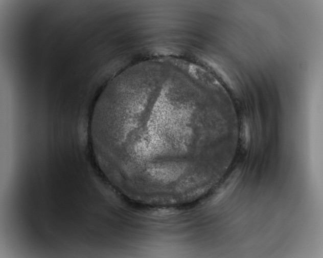 X0000091900402200709261701