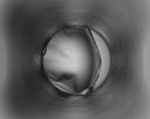 X0000091900403200709261701