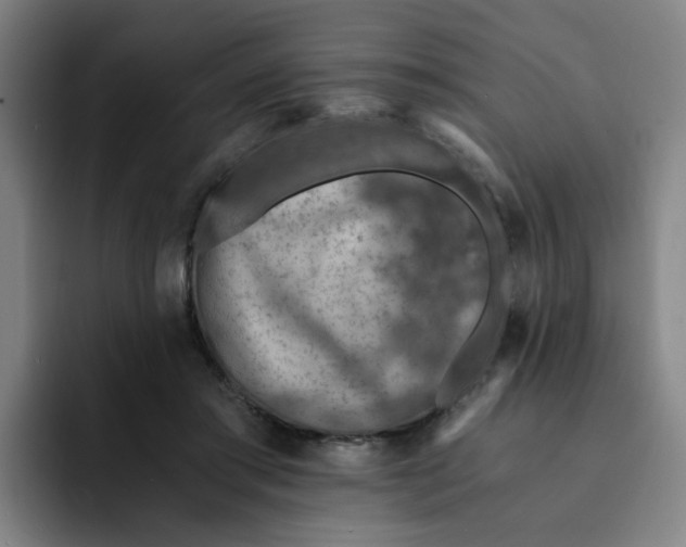 X0000091900405200709261701