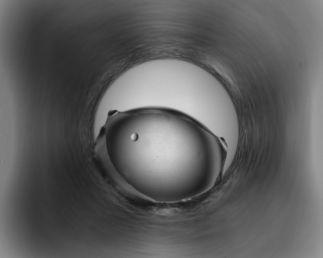 X0000091900407200709261701