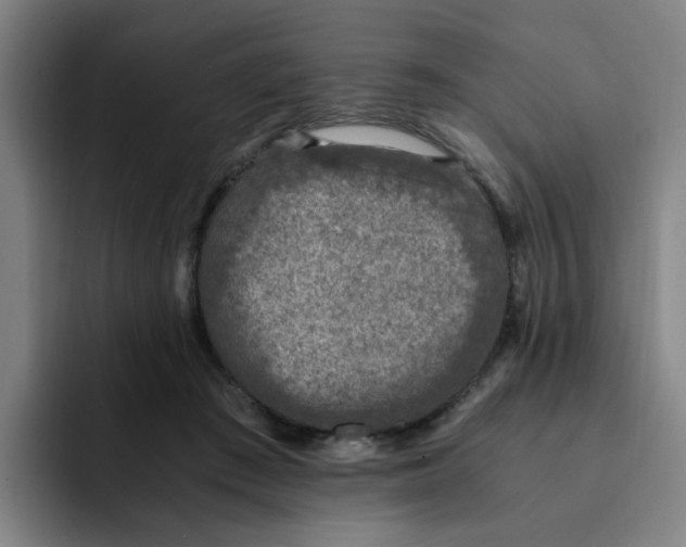 X0000091900409200709261701