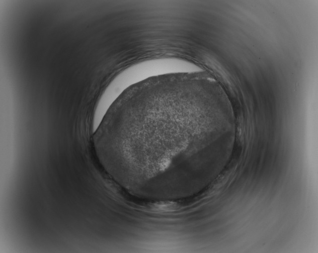 X0000091900410200709261701