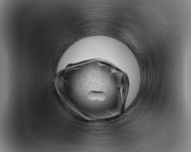 X0000091900412200709261701