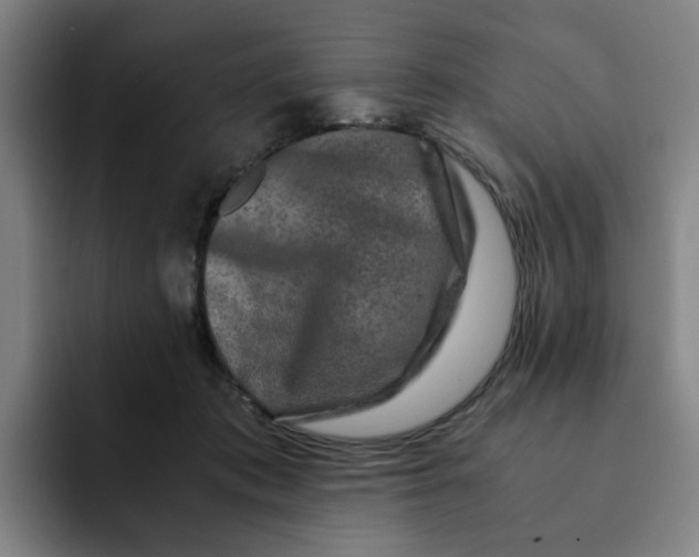 X0000091900413200709261701