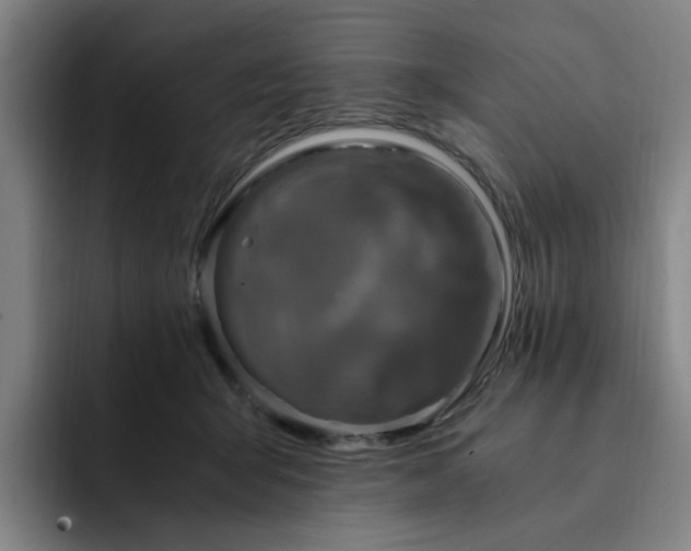 X0000091900415200709261701