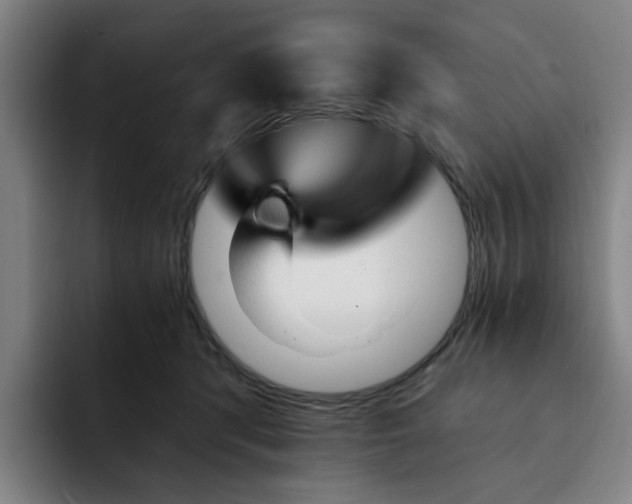 X0000091900416200709261701