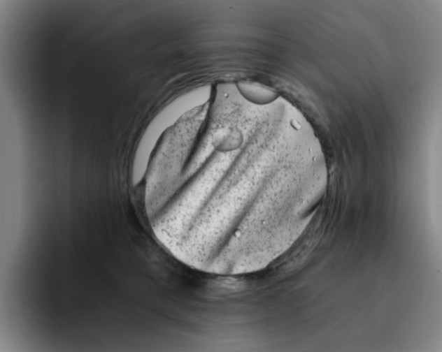 X0000091900421200709261701