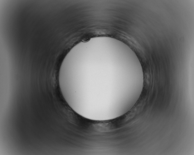 X0000091900422200709261701