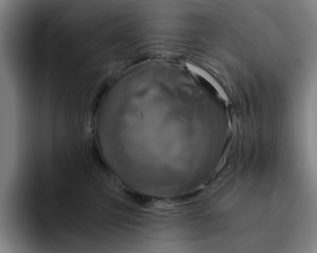 X0000091900423200709261701