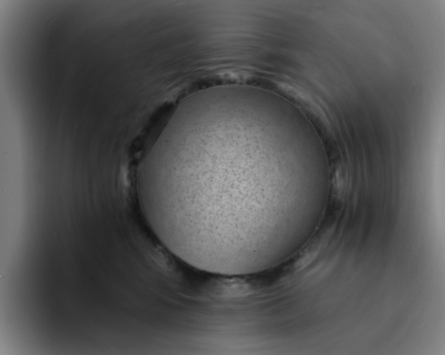 X0000091900424200709261701