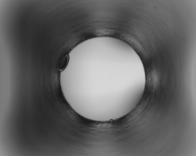 X0000091900426200709261701