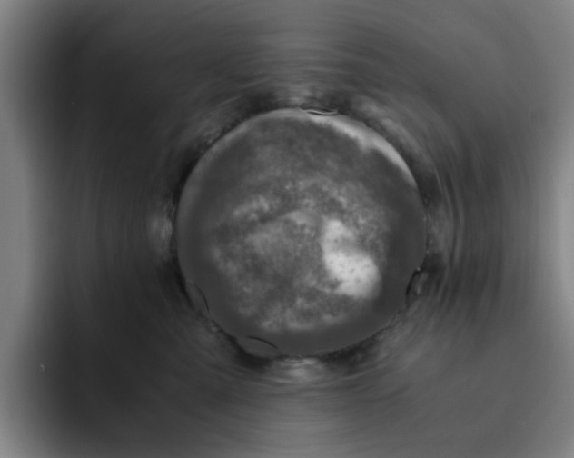 X0000091900427200709261701